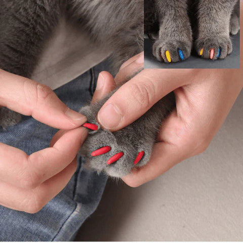 Imported Soft Silicone Nail Caps For Cats (Pack of 20)